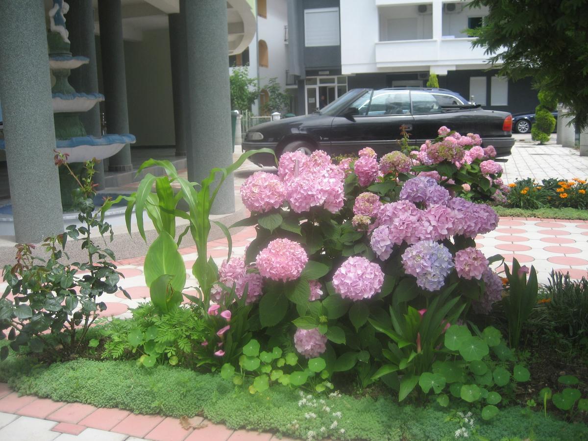 Guest House Vila Mimoza Ulcinj Exterior foto