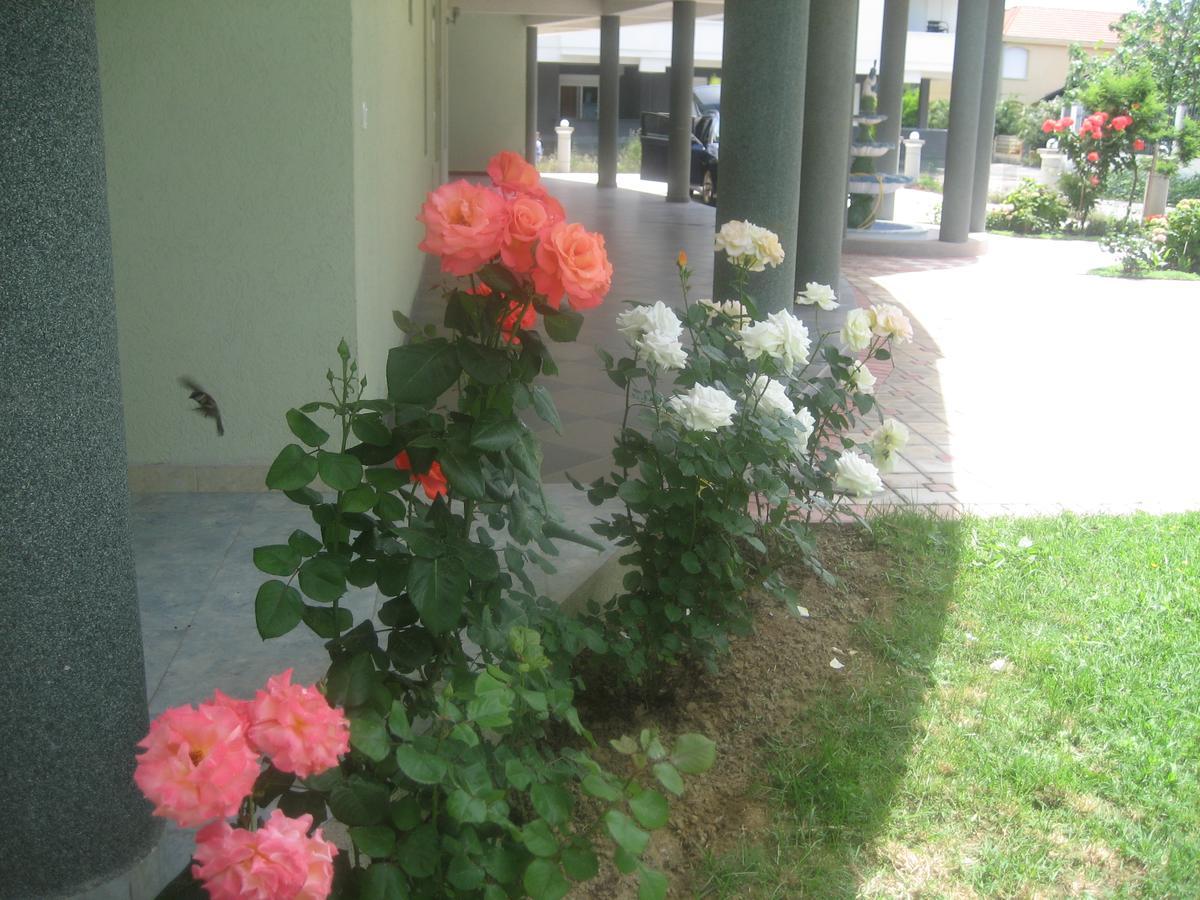 Guest House Vila Mimoza Ulcinj Exterior foto