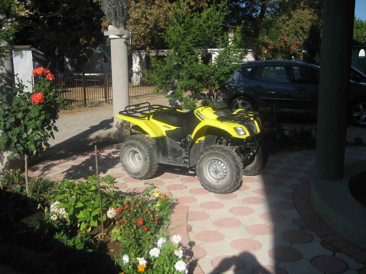 Guest House Vila Mimoza Ulcinj Exterior foto